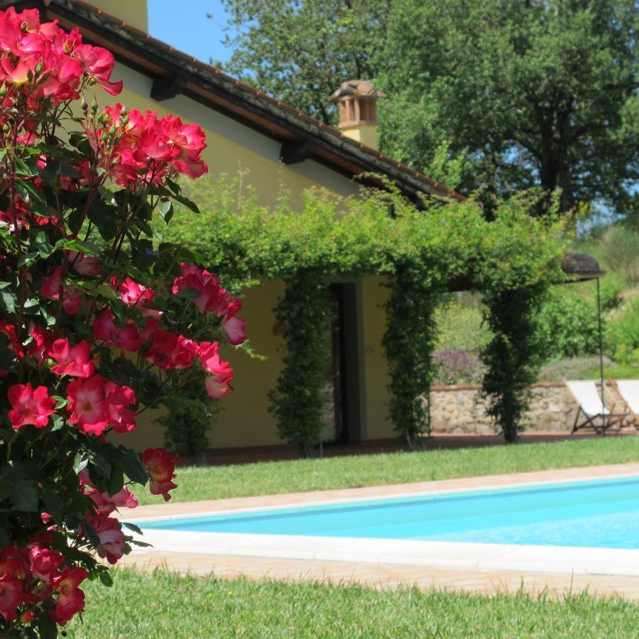 Agriturismo Podere Filicaia Сан-Джованні-Вальдарно Екстер'єр фото